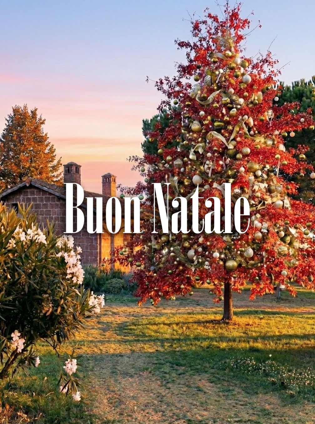 WhatsApp Image 2025-12-10 at 11.31.58